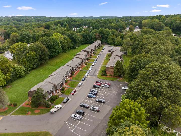 Aerial view of the property from above the trees